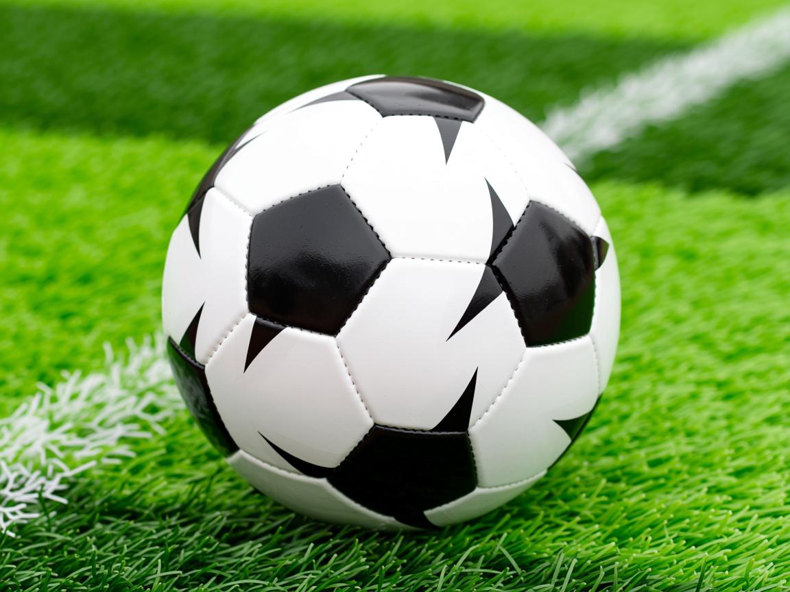 开云体育在线登入-中国女篮晋级八强 球迷现场打出加油标语，中国女篮加油口号