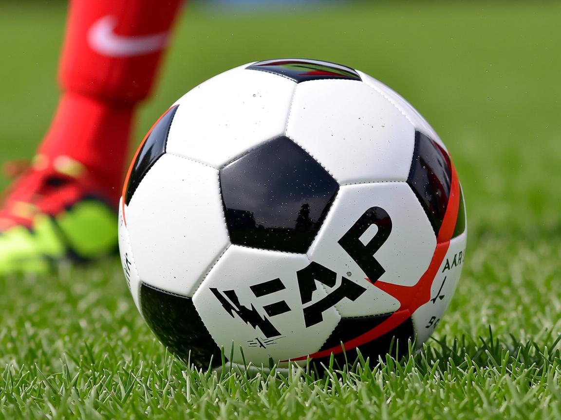 开云体育在线登入-加拿大队的未来：如何提升球员的抗压能力，取得国际荣誉，加拿大足球队队员