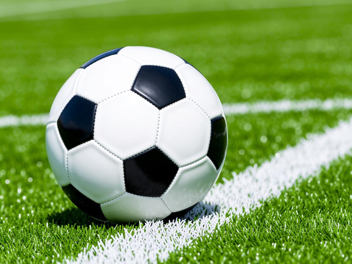 开云官网-弗拉门戈整体协作默契，进退有序，弗拉门戈历史  第2张