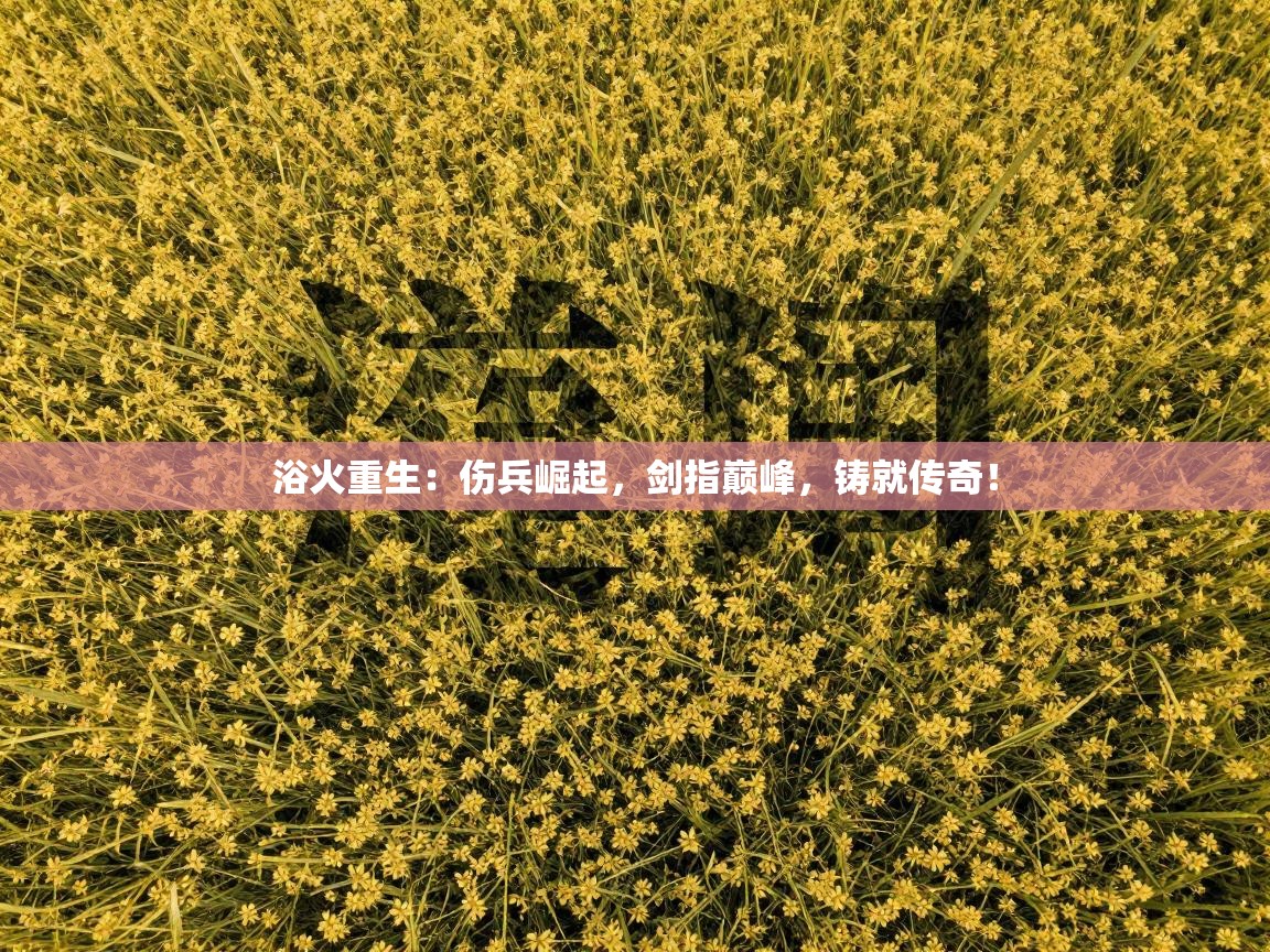 浴火重生：伤兵崛起，剑指巅峰，铸就传奇！  第2张