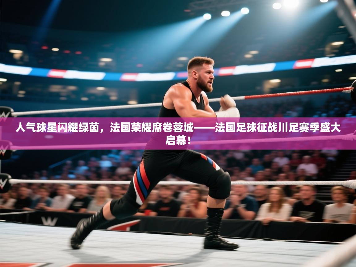 人气球星闪耀绿茵,法国荣耀席卷蓉城——法国足球征战川足赛季盛大启幕! 第1张