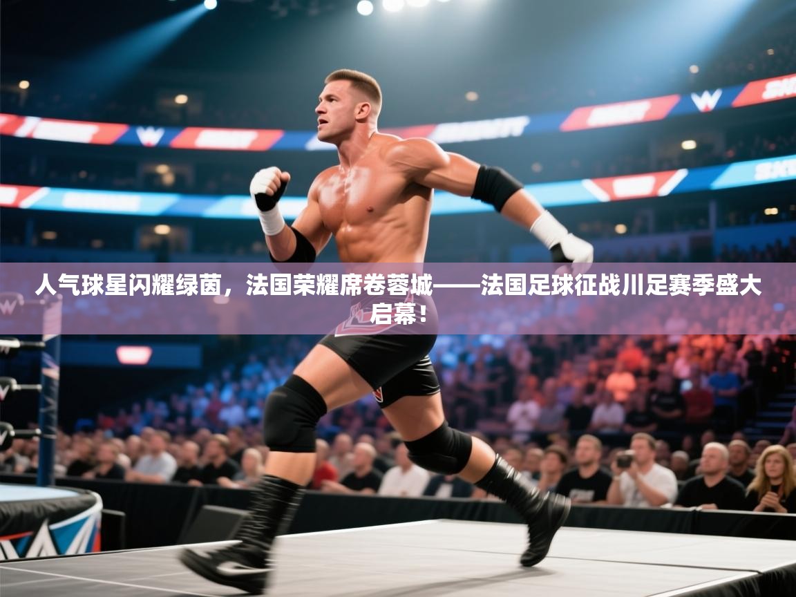 人气球星闪耀绿茵,法国荣耀席卷蓉城——法国足球征战川足赛季盛大启幕! 第2张