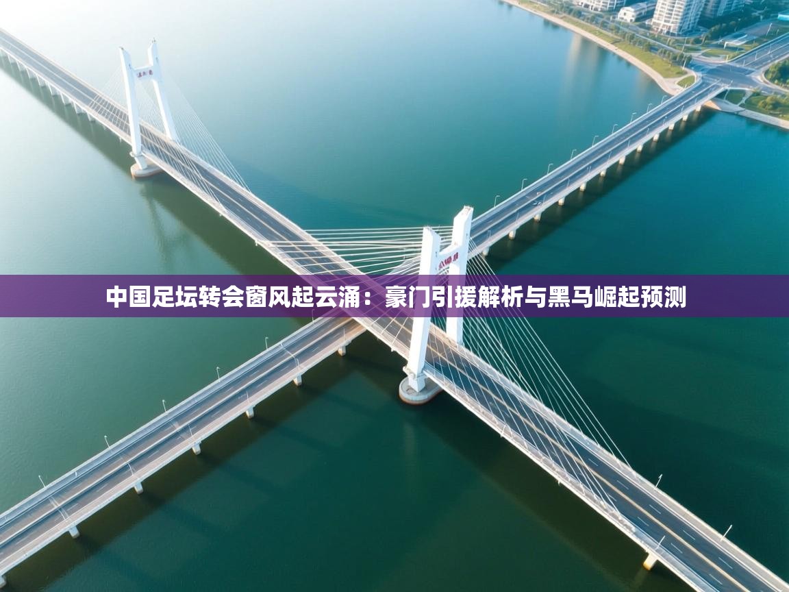 中国足坛转会窗风起云涌：豪门引援解析与黑马崛起预测  第1张