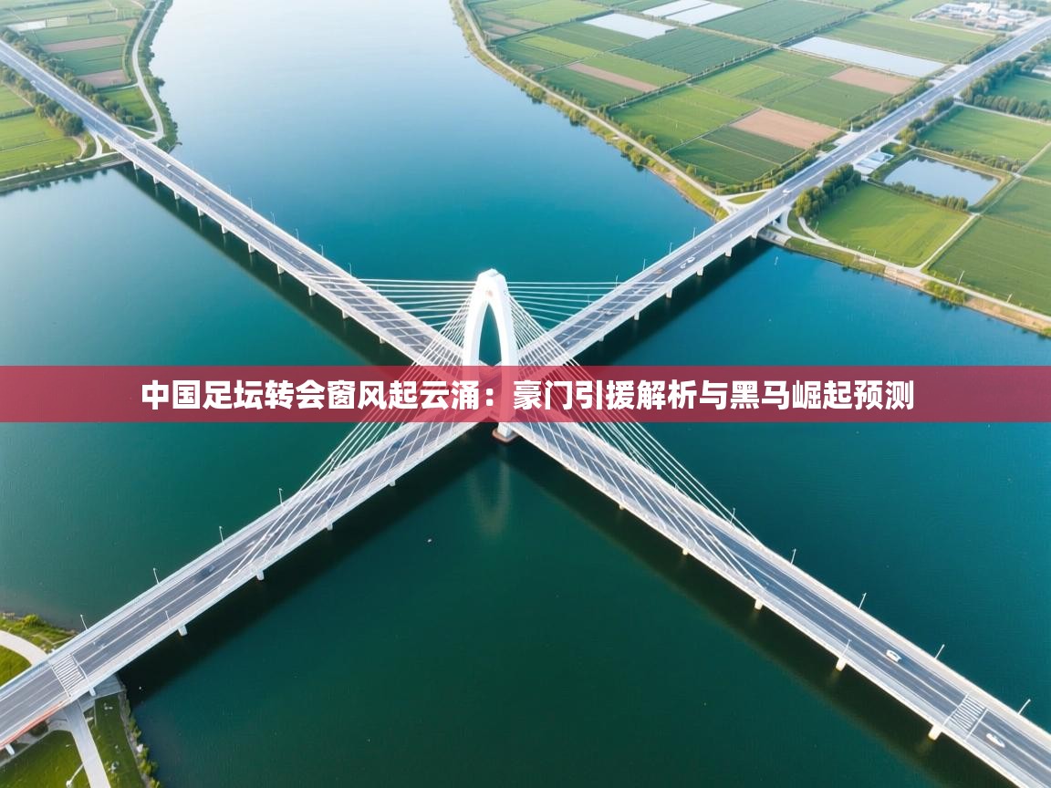 中国足坛转会窗风起云涌：豪门引援解析与黑马崛起预测  第2张