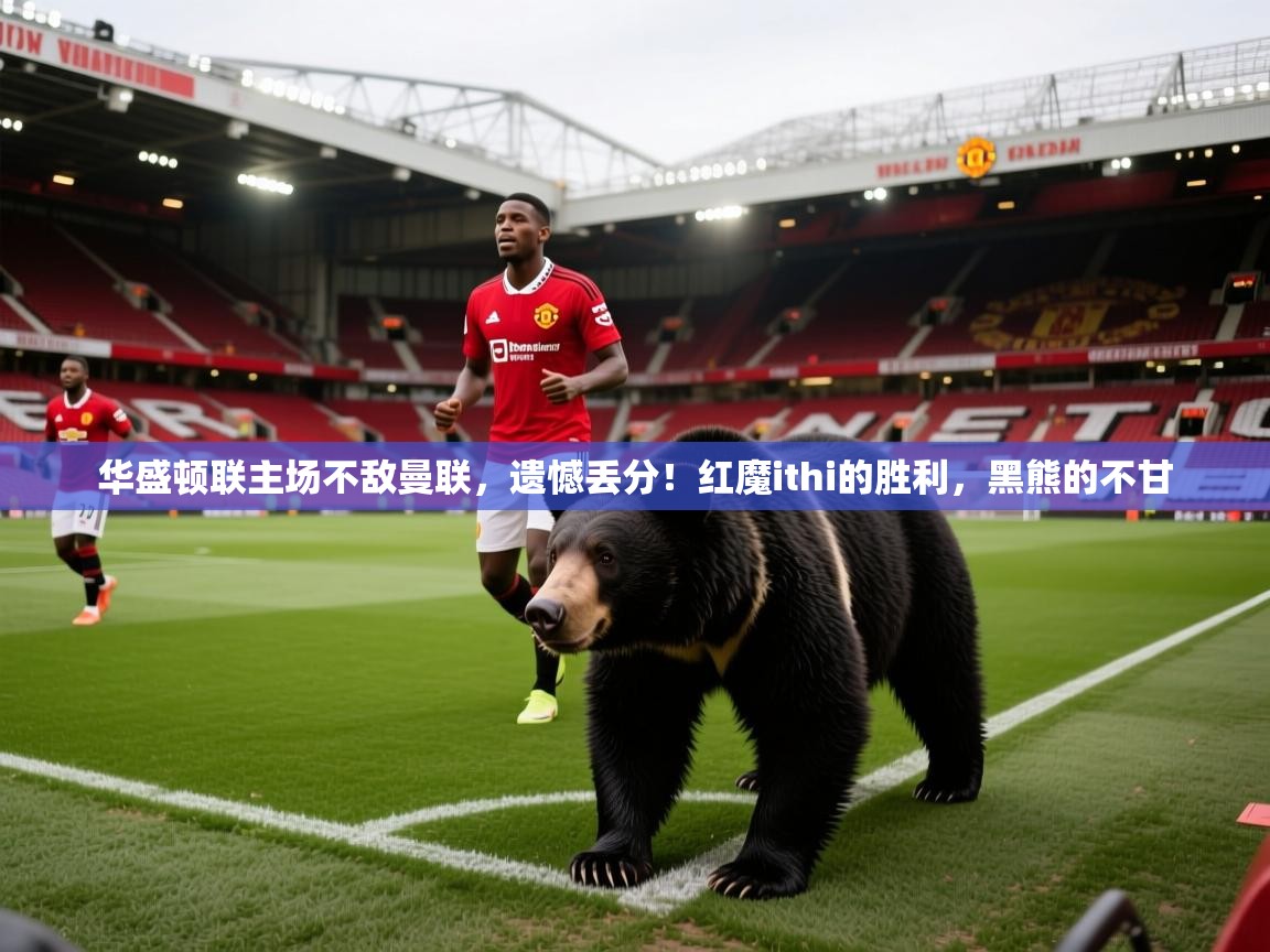 华盛顿联主场不敌曼联，遗憾丢分！红魔ithi的胜利，黑熊的不甘  第1张